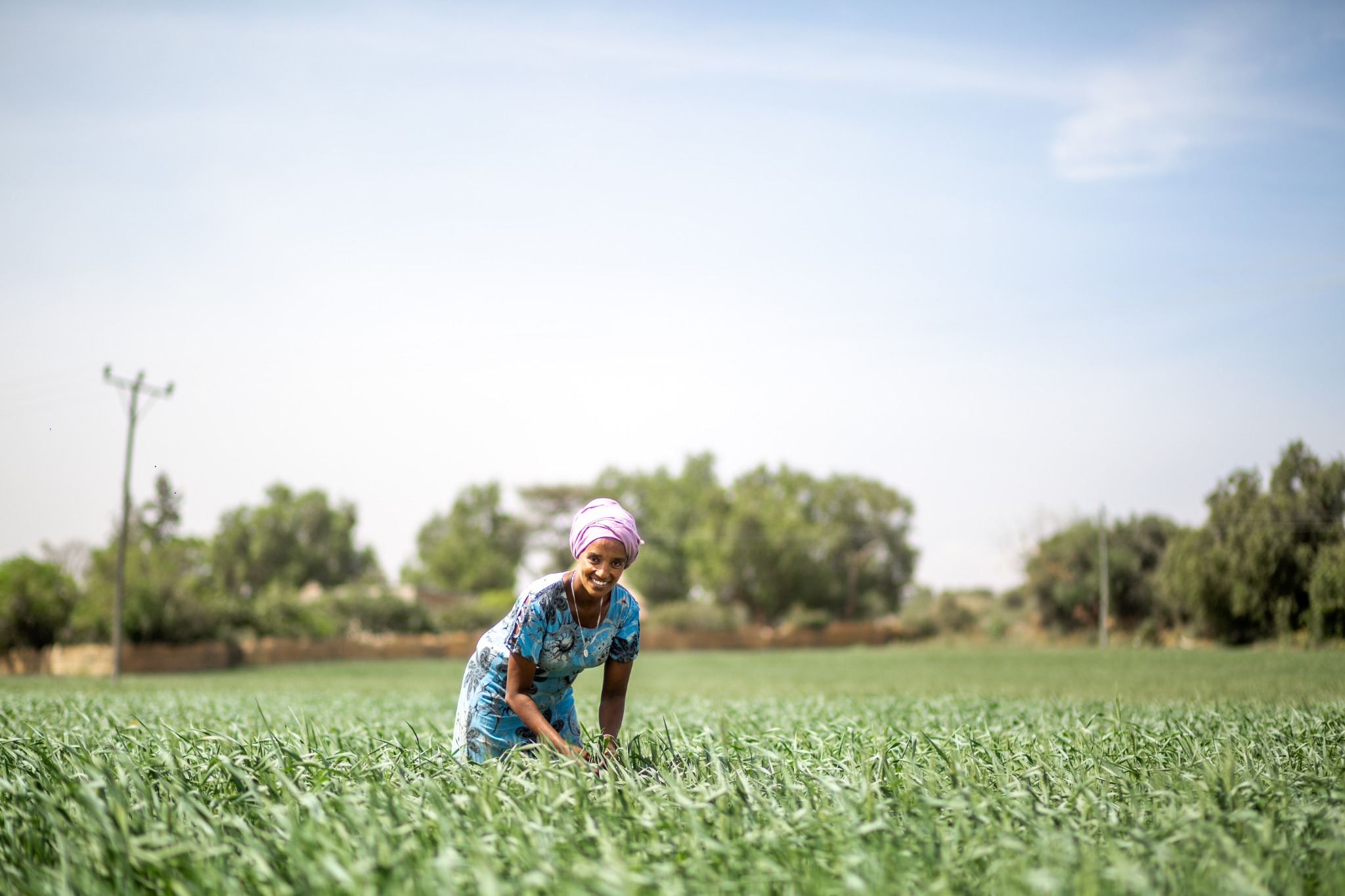 Farmer working in a green field
